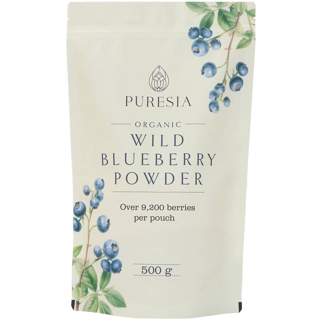 Organic Wild Blueberry Powder Bulk 1kg