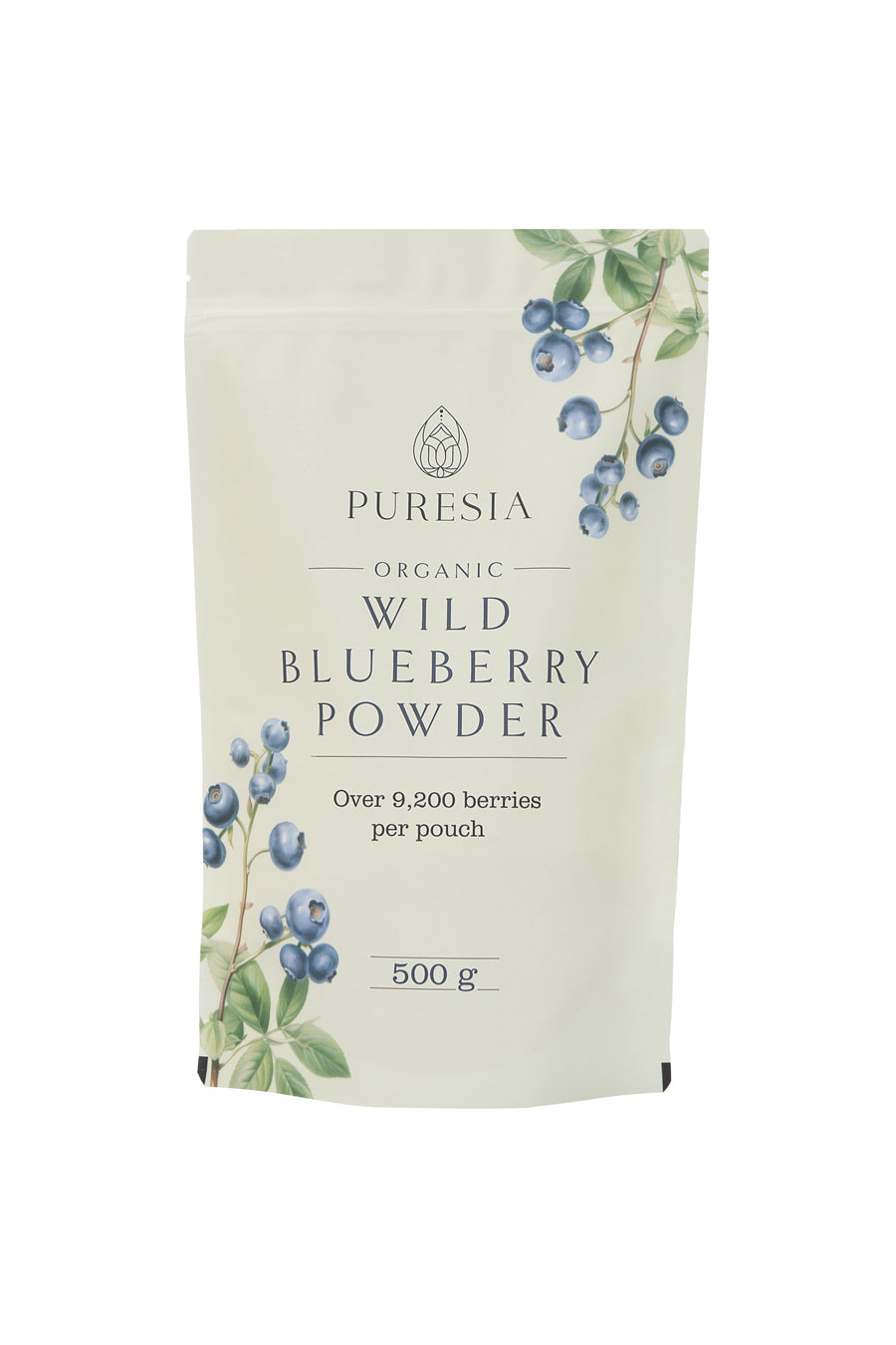 Organic Wild Blueberry Powder Bulk 1kg